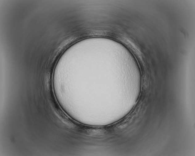 X0000113070107200909250937