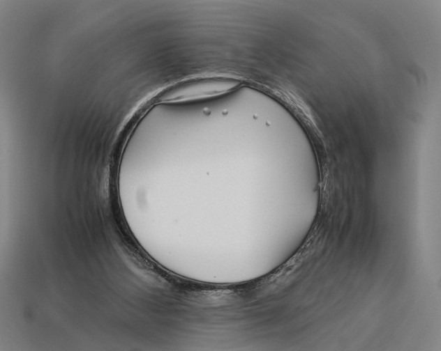 X0000113070108200909250937