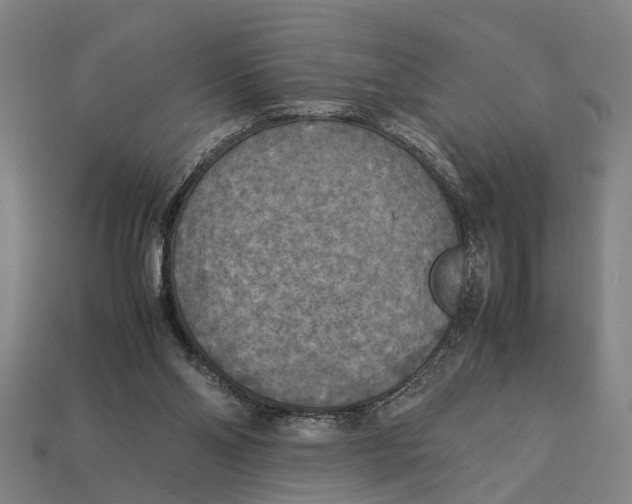 X0000113070110200909250937