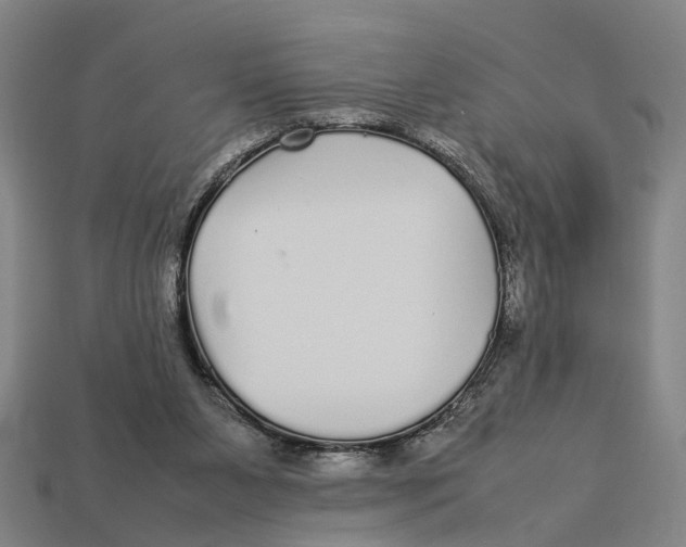 X0000113070111200909250937