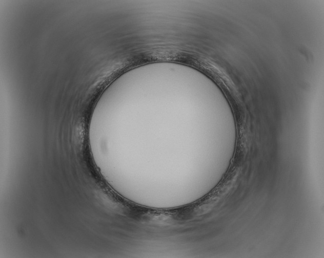 X0000113070113200909250937