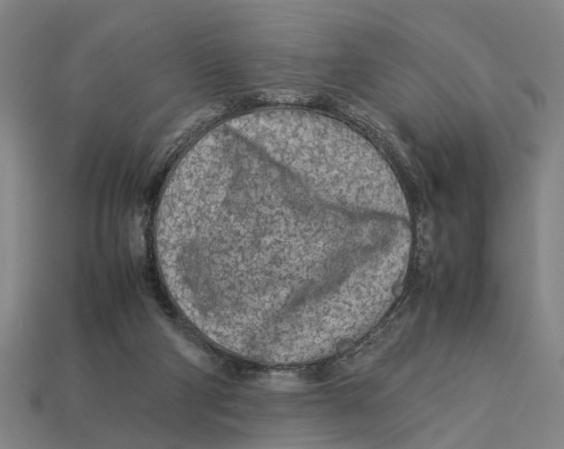 X0000113070114200909250937