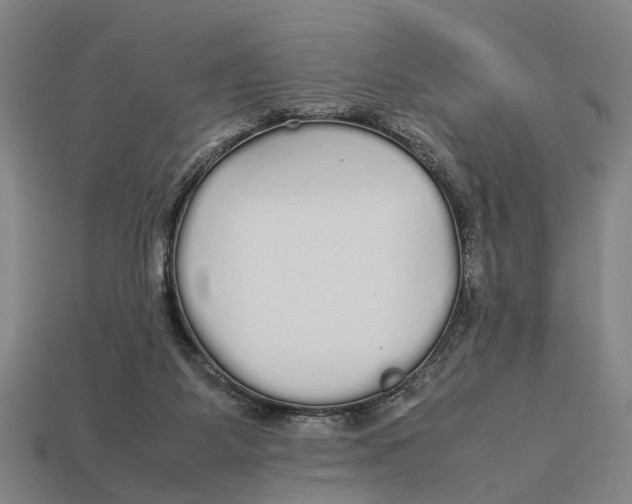 X0000113070115200909250937