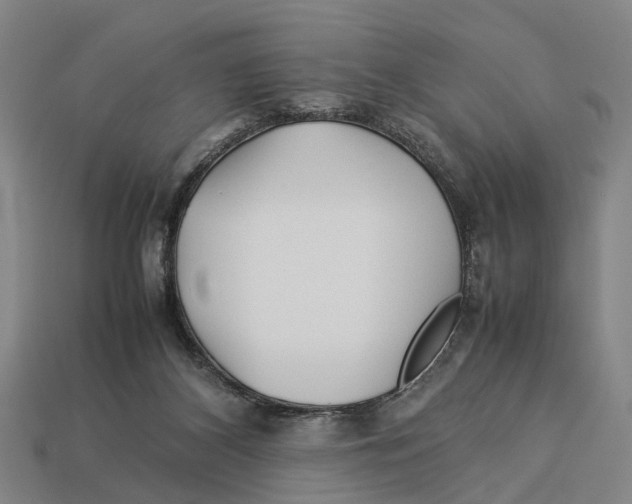 X0000113070116200909250937