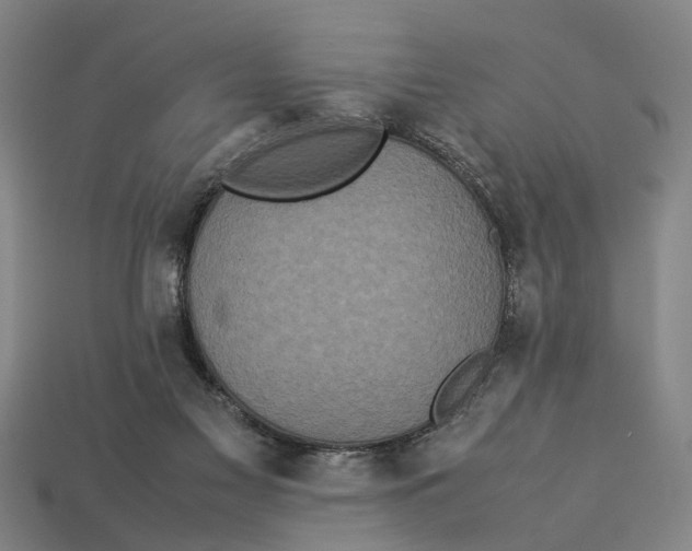 X0000113070117200909250937