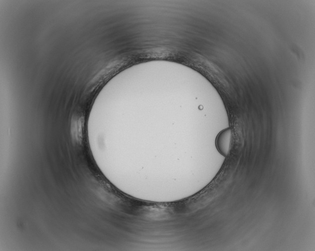 X0000113070118200909250937