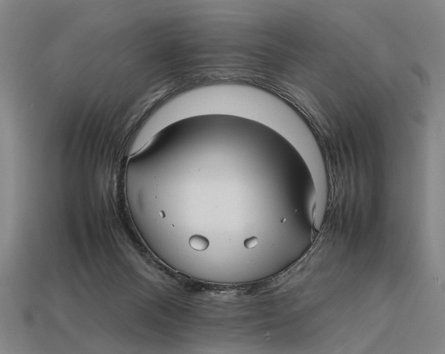 X0000113070120200909250937