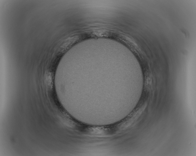 X0000113070121200909250937