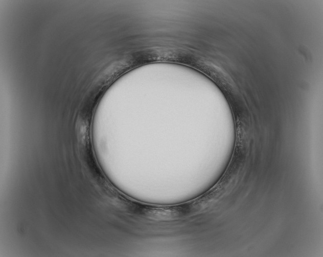 X0000113070123200909250937