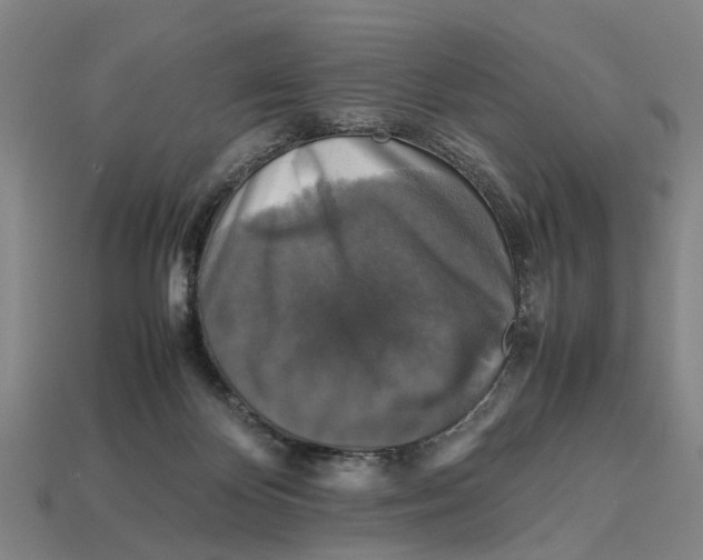 X0000113070124200909250937