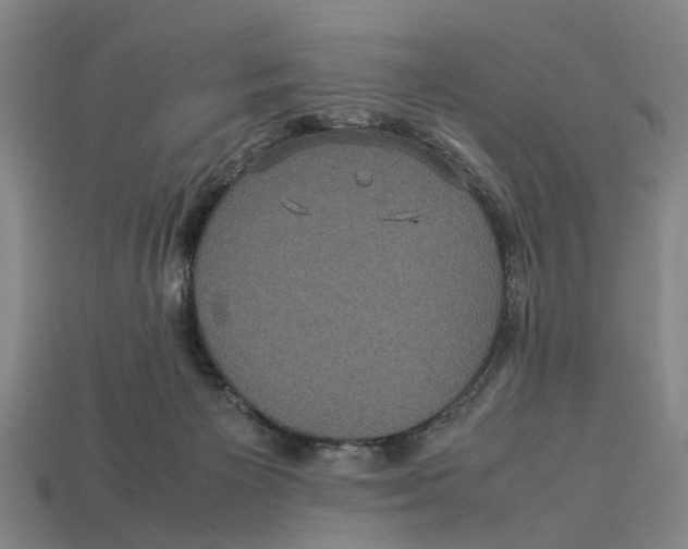 X0000113070125200909250937