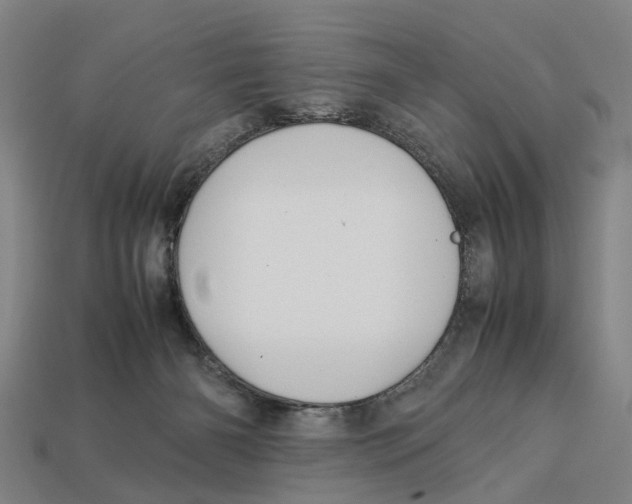 X0000113070126200909250937
