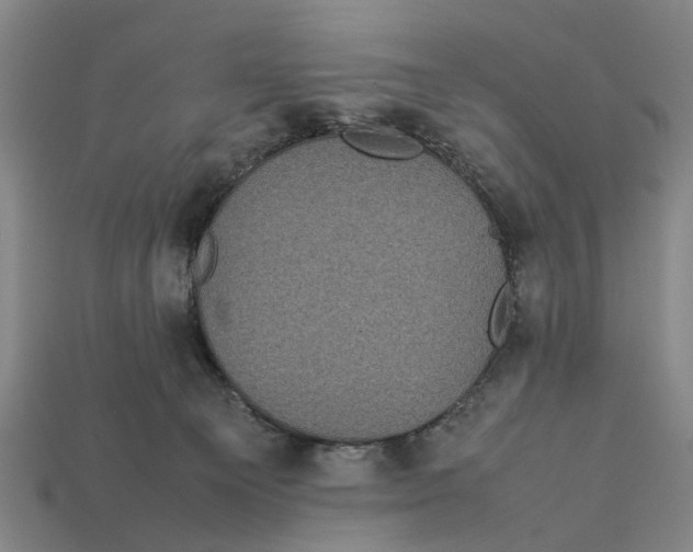 X0000113070129200909250937