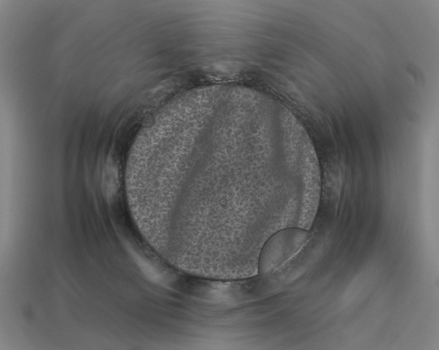 X0000113070130200909250937