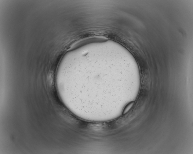 X0000113070131200909250937