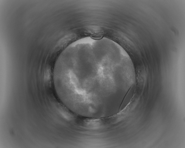 X0000113070132200909250937