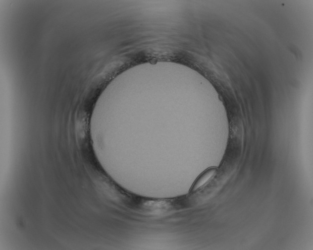 X0000113070133200909250937