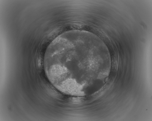 X0000113070134200909250937