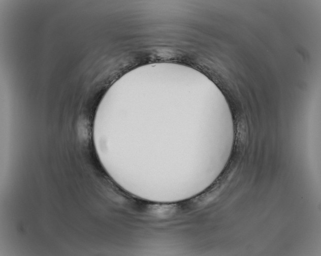 X0000113070135200909250937