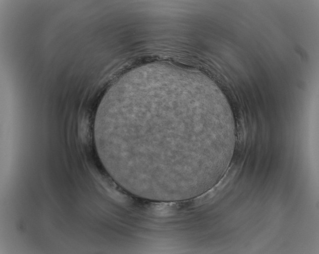 X0000113070136200909250937