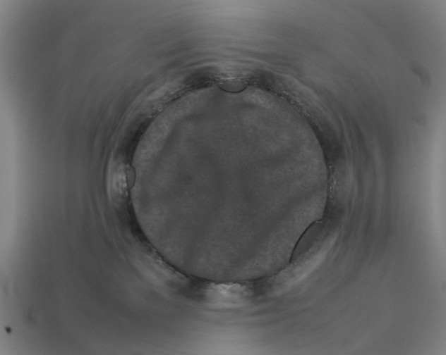 X0000113070137200909250937
