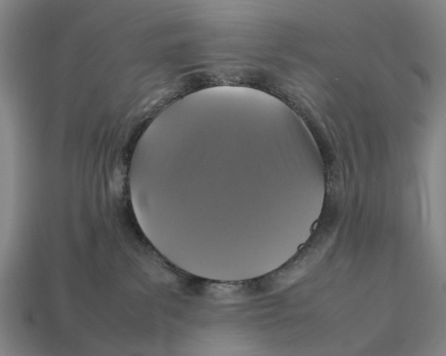 X0000113070139200909250937
