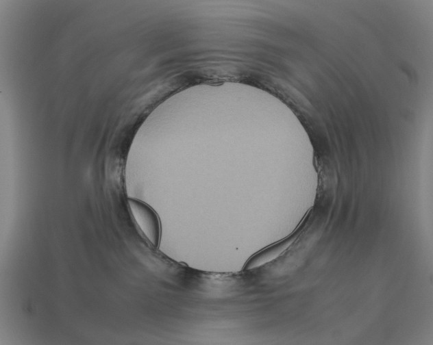 X0000113070141200909250937
