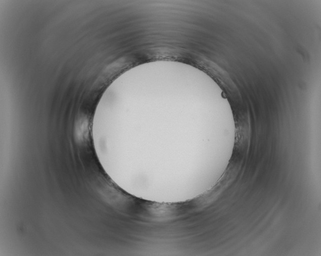 X0000113070142200909250937