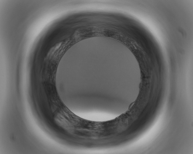 X0000113070143200909250937