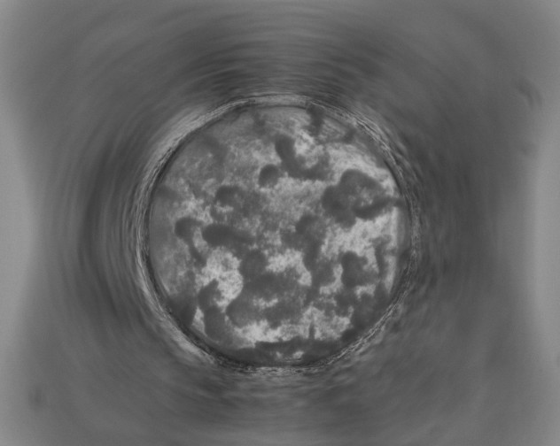 X0000113070145200909250936