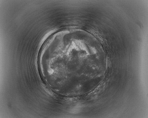 X0000113070147200909250936