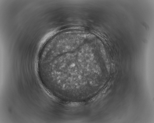 X0000113070149200909250936