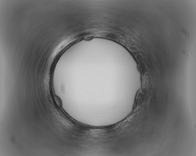 X0000113070150200909250936