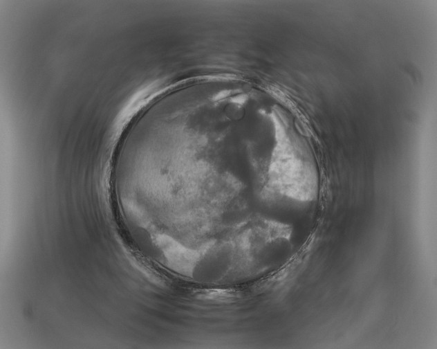 X0000113070151200909250936