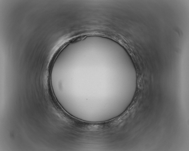 X0000113070152200909250936