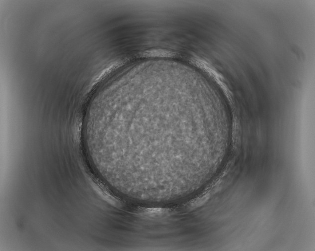 X0000113070153200909250936