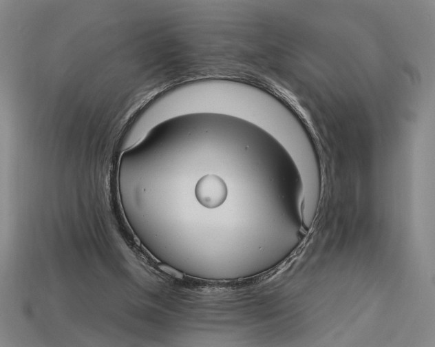 X0000113070154200909250936