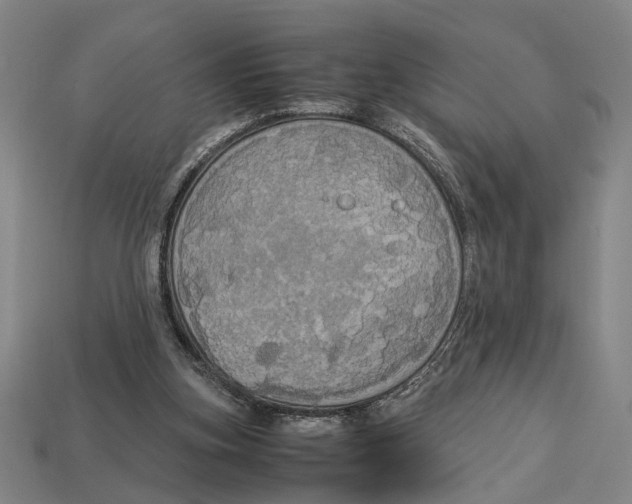 X0000113070155200909250936