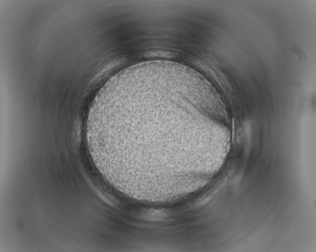 X0000113070157200909250936