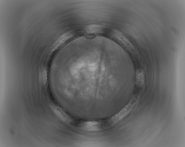 X0000113070158200909250936