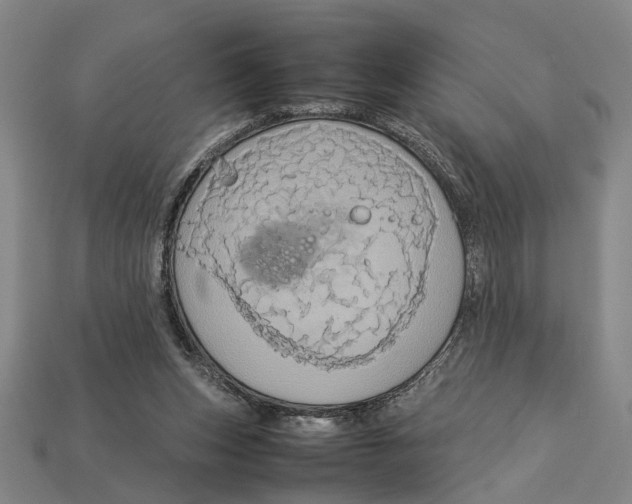 X0000113070159200909250936