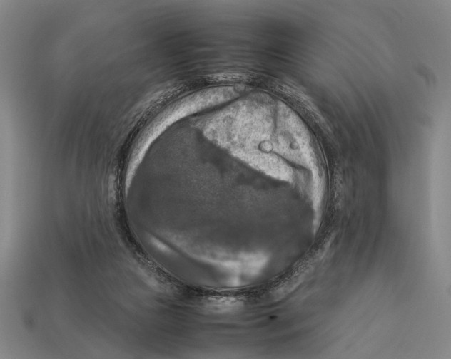 X0000113070161200909250936