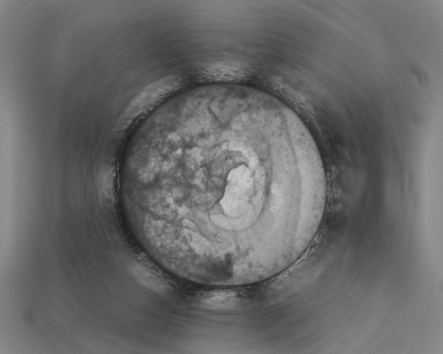 X0000113070162200909250936