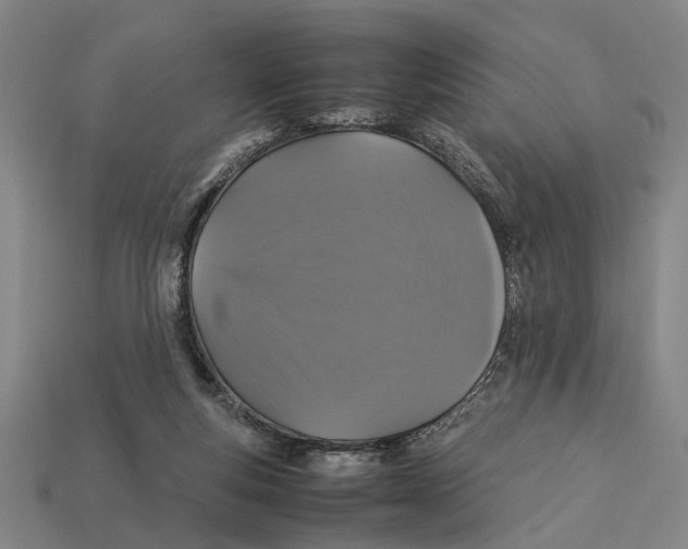 X0000113070163200909250936