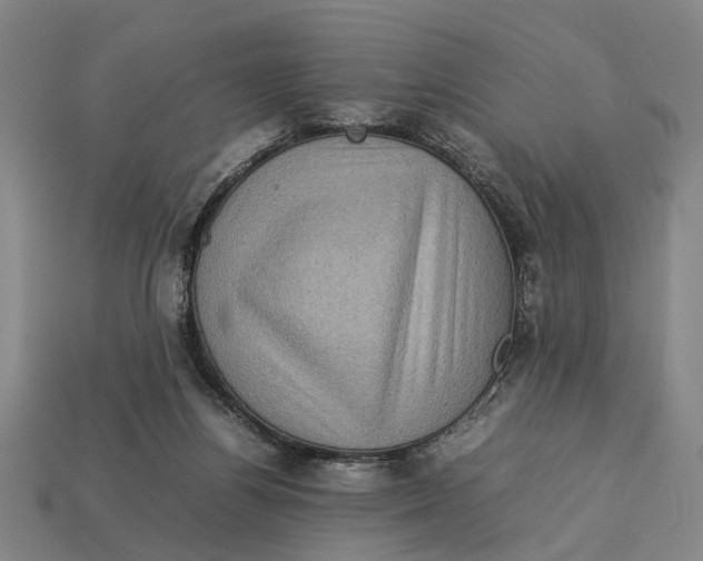 X0000113070164200909250936