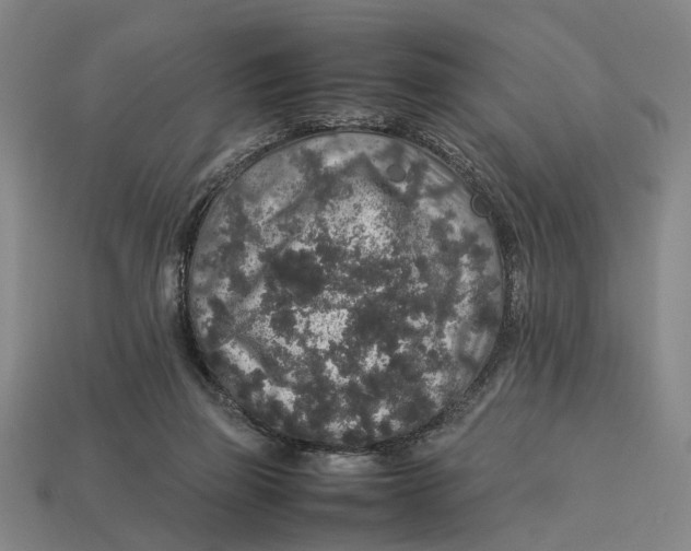 X0000113070165200909250936