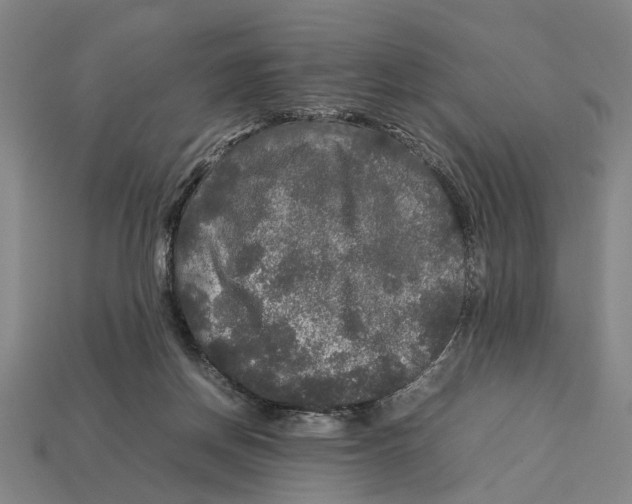 X0000113070166200909250936