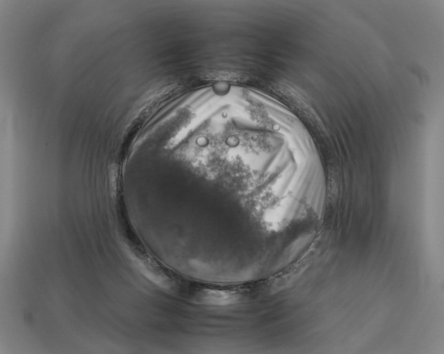 X0000113070167200909250936