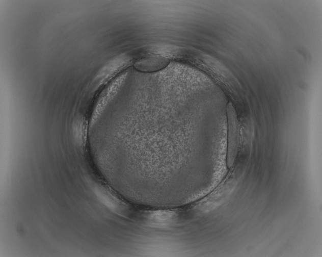 X0000113070168200909250936