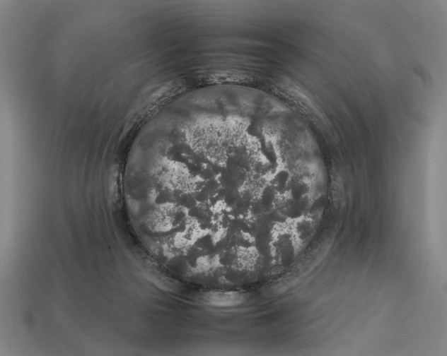 X0000113070169200909250936